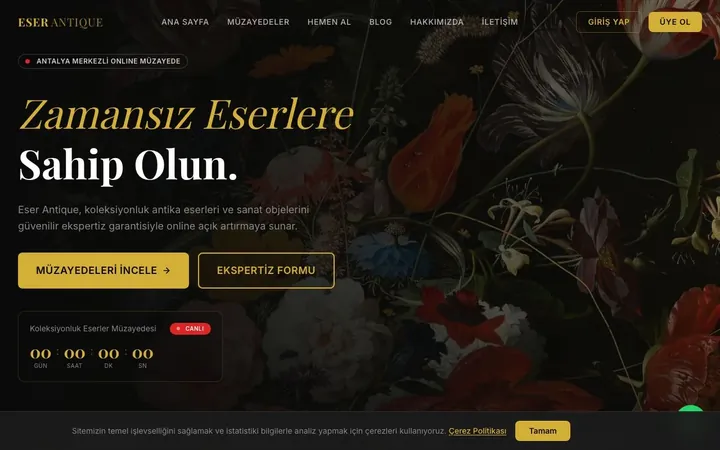 Antika & Online Müzayede
